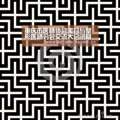 重庆市医师协会美容与整形医师分会交流大会闭幕‘九游APP下载’(图1) 九游游戏中心