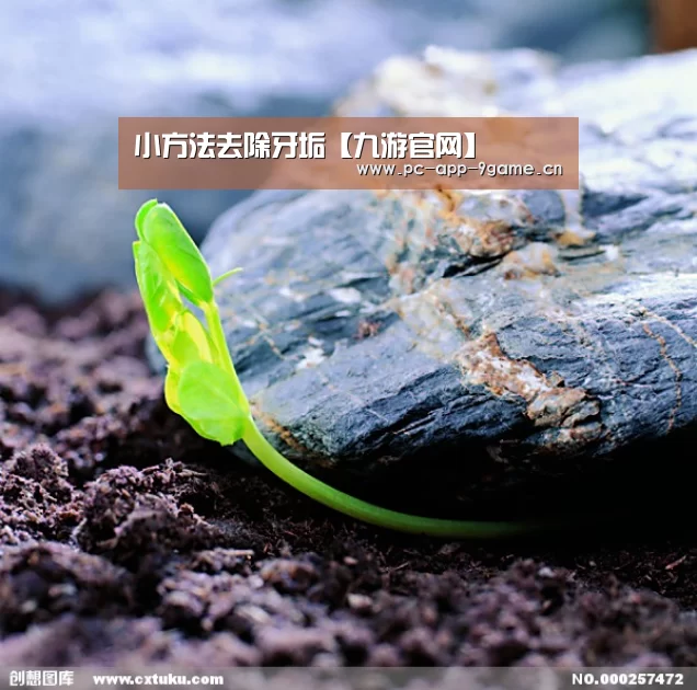 小方法去除牙垢【九游官网】(图1) 九游游戏