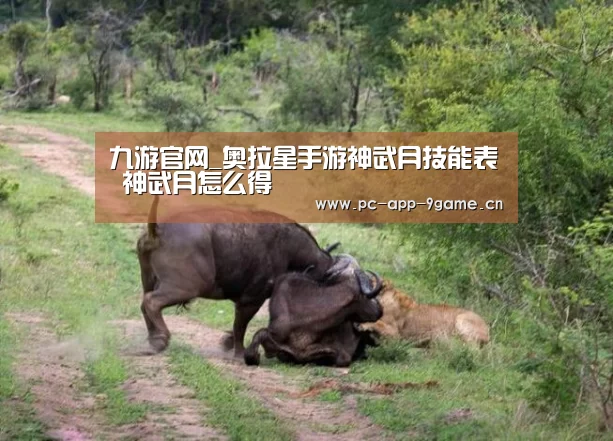 九游官网_奥拉星手游神武月技能表 神武月怎么得(图1) 九游官网
