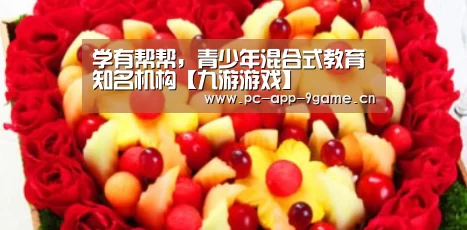 学有帮帮,青少年混合式教育知名机构【九游游戏】(图1) 九游官网