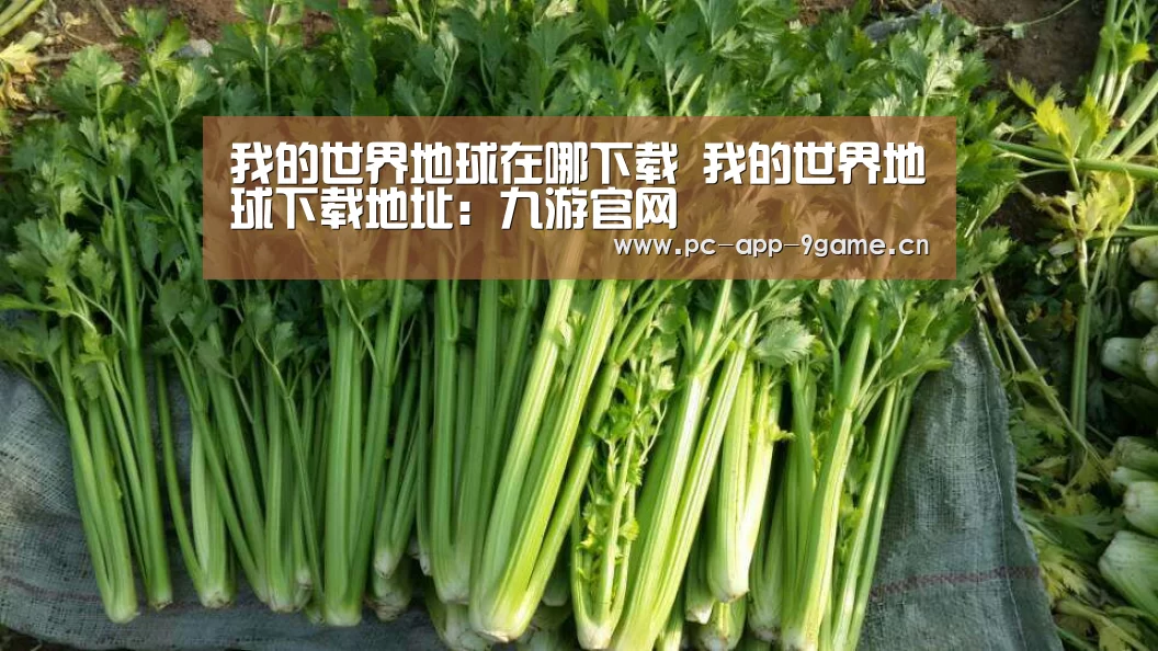 九游游戏