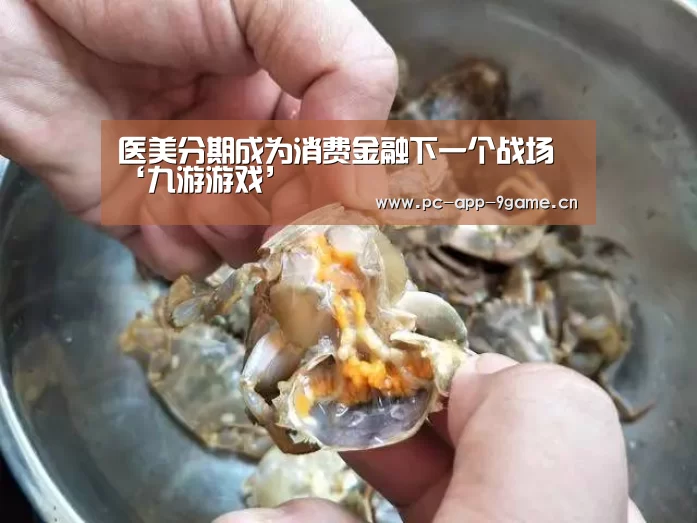 医美分期成为消费金融下一个战场‘九游游戏’(图2) 九游游戏