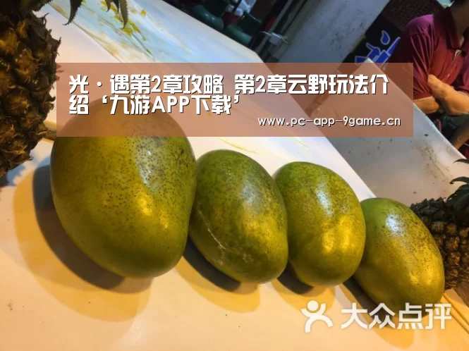 光·遇第2章攻略 第2章云野玩法介绍‘九游APP下载’(图4) 九游APP下载