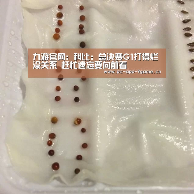 九游官网:科比:总决赛G1打得烂没关系 赶忙遗忘要向前看(图1) 九游APP下载