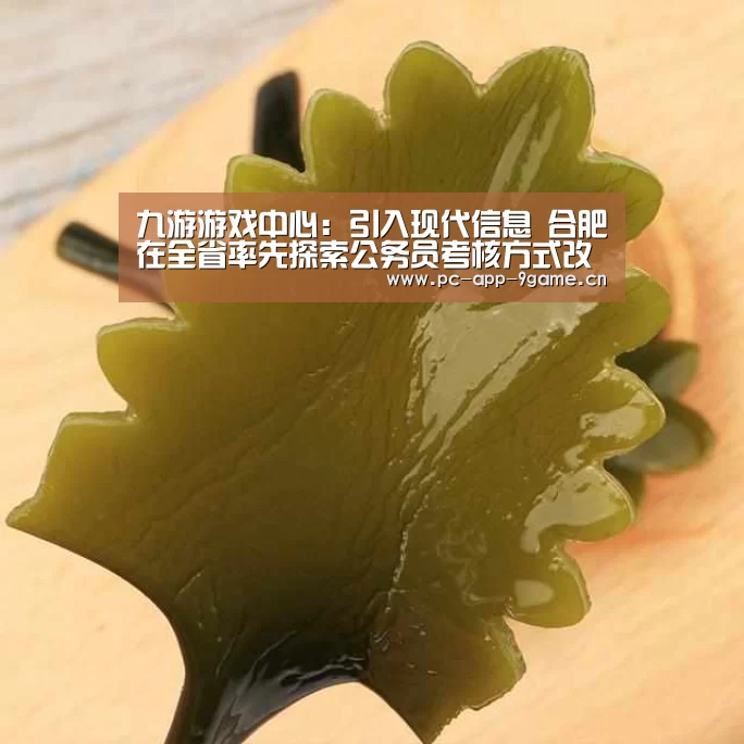 九游游戏中心:引入现代信息 合肥在全省率先探索公务员考核方式改革(图2) 九游APP下载