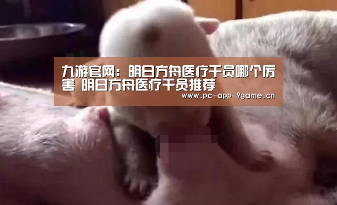 九游官网:明日方舟医疗干员哪个厉害 明日方舟医疗干员推荐(图2) 九游游戏