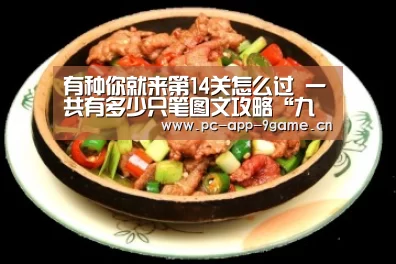 有种你就来第14关怎么过 一共有多少只笔图文攻略“九游APP下载”(图1) 九游游戏
