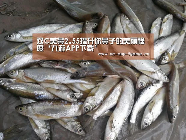 九游游戏中心