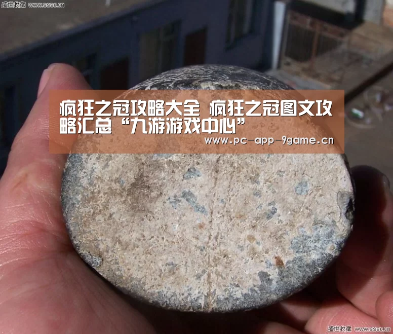 疯狂之冠攻略大全 疯狂之冠图文攻略汇总“九游游戏中心”(图2) 九游游戏中心